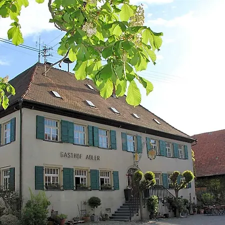 Adler Oberdorf Hotel *