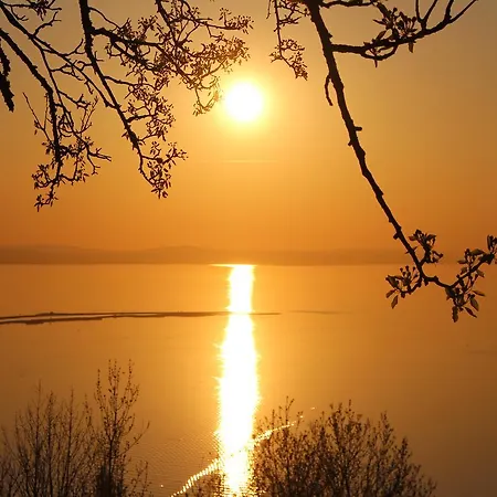 Adler Oberdorf לנגנרגן