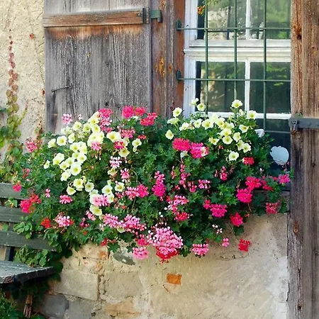 Adler Oberdorf * לנגנרגן