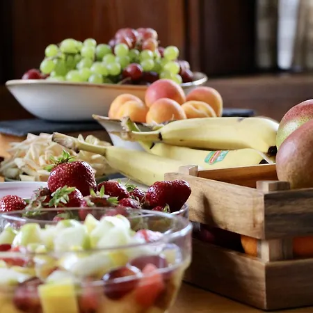 Adler Oberdorf מלון *