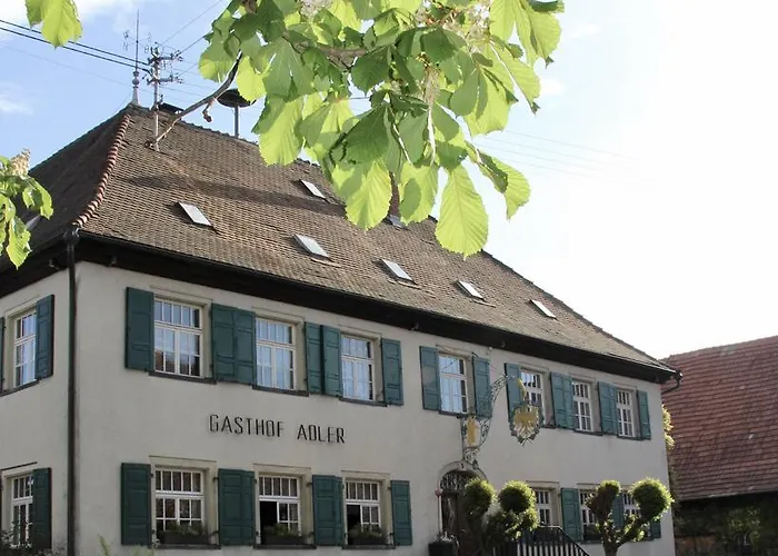 Adler Oberdorf * Langenargen